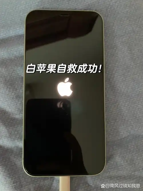 如何解决iPhone11卡在白苹果且内存满无法开机的问题