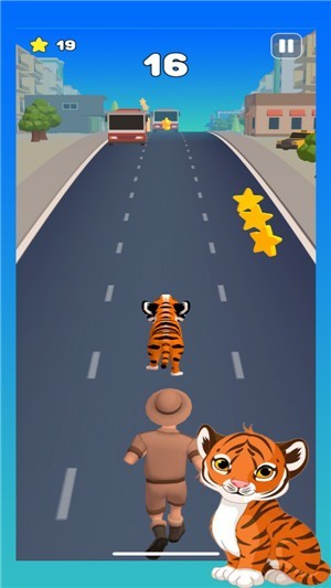 Tiger Run