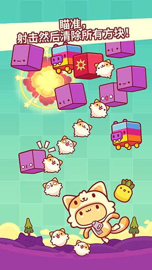 皮皮猫2