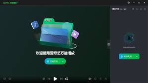 爱奇艺万能播放器如何置顶