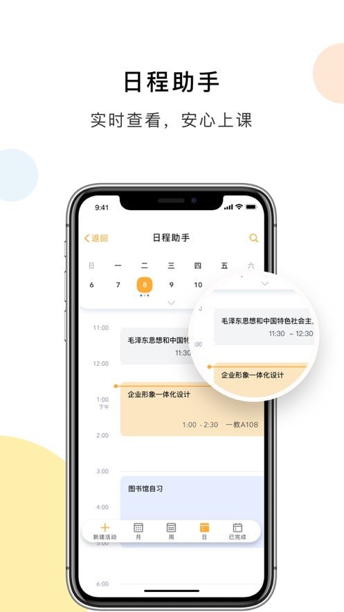 杨大e卡通5