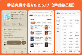 番茄小说怎么去广告