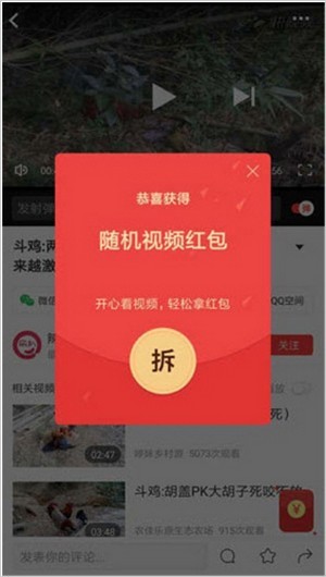 小黄蜂视频2