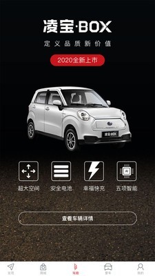 凌宝