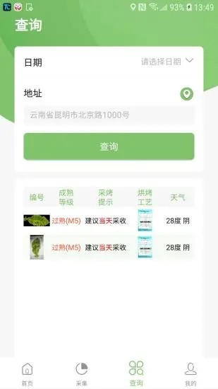 看叶识熟4