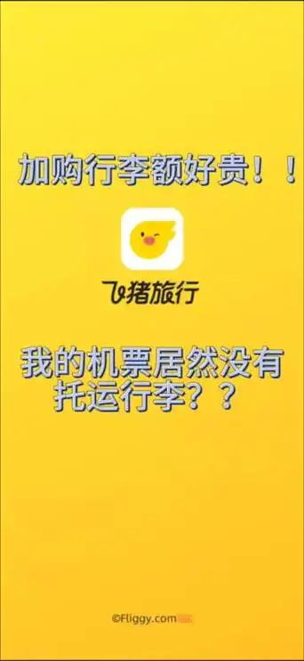 飞猪旅行如何购买学生票
