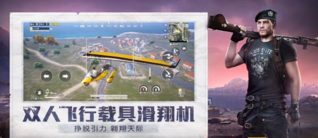 和平精英小蜜蜂助手官网版1
