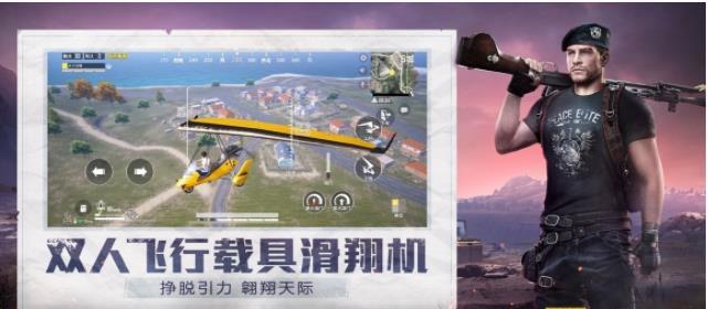 和平精英小蜜蜂助手官网版2