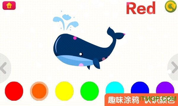 多纳去哪儿23
