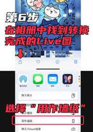 intolive动态壁纸只有2秒、1秒怎么解决