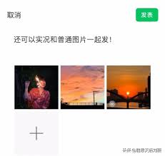 微信聊天发live图能看到吗