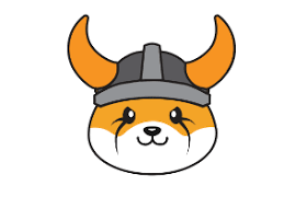 floki币能否涨到1美元