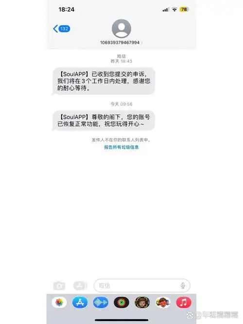 soul多久会自动解封