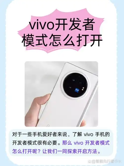 vivo Y37进入开发者模式的教程
