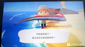 动森皇带鱼多少钱一条