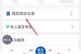 如何在好大夫在线查看问诊记录