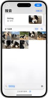 iPhone17plus怎么使用看图查询识别图片内信息
