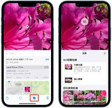 iPhone17plus怎么使用看图查询识别图片内信息
