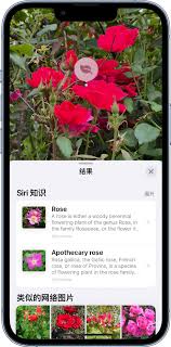 iPhone17promax怎么使用看图查询识别图片内信息