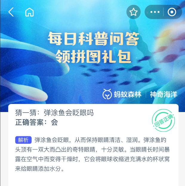神奇海洋2025年9月11日今天答案是什么