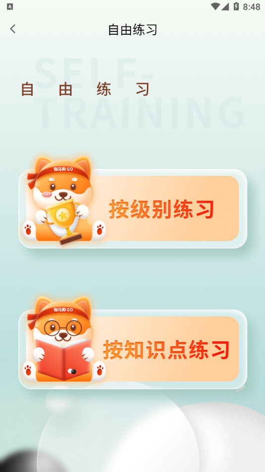 伽马狗围棋3