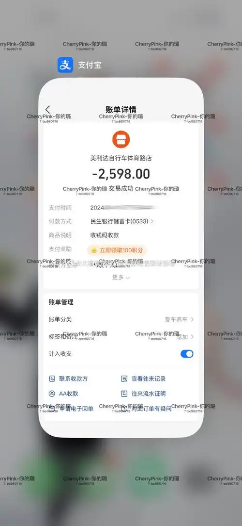 如何查询辛扎尔付款记录