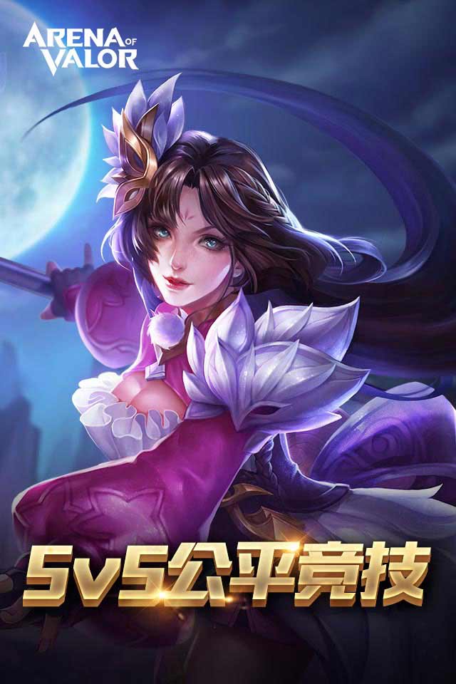 Arena of valor体验服4