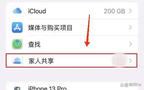 iPhone怎么通过家人共享更新付款方式