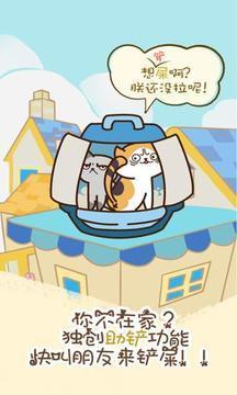 猫咪挂机4