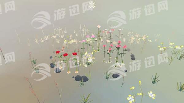 玫瑰花园2