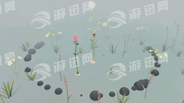 玫瑰花园3
