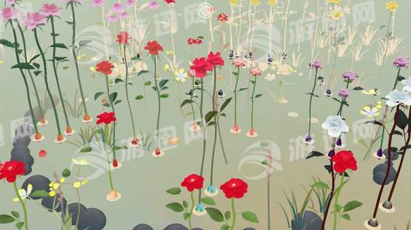 玫瑰花园5