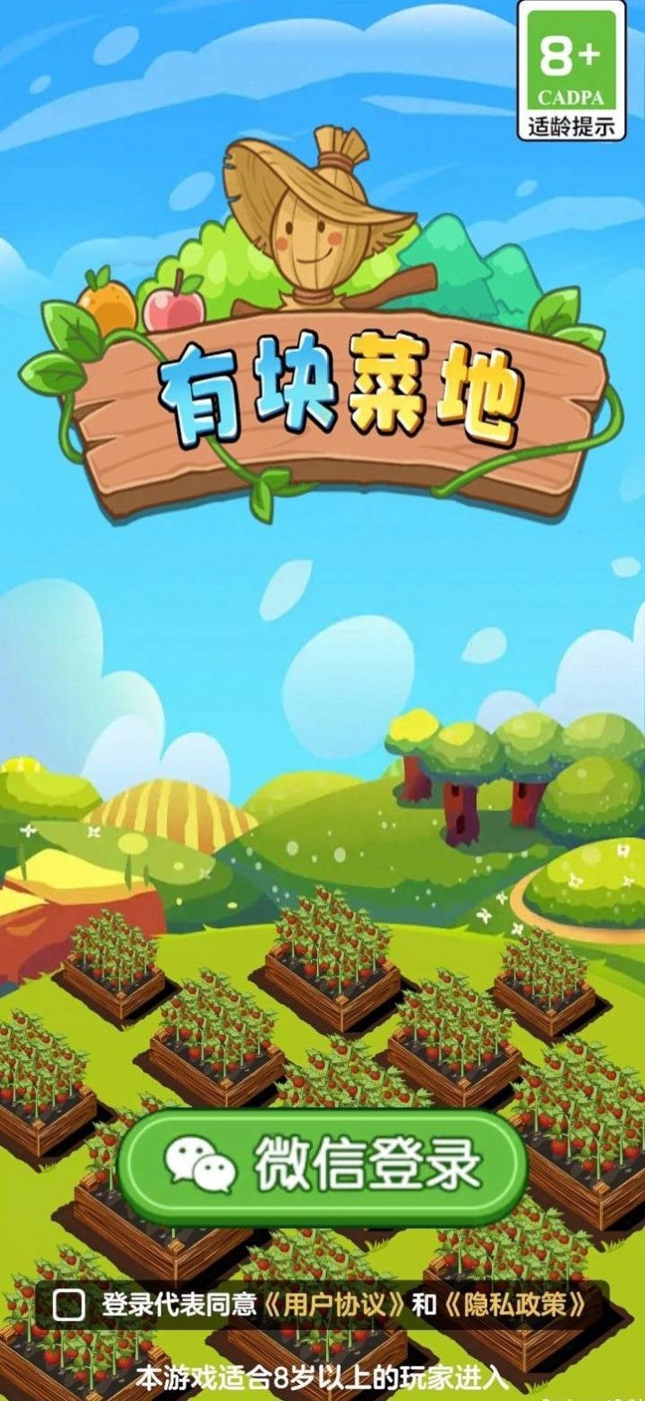 有块菜地1