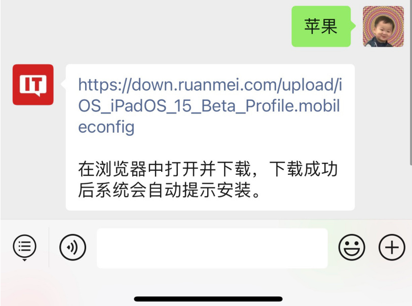 ios15 beta6描述文件4