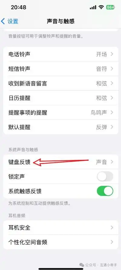 iPhone键盘已显示的旁白声音在哪打开