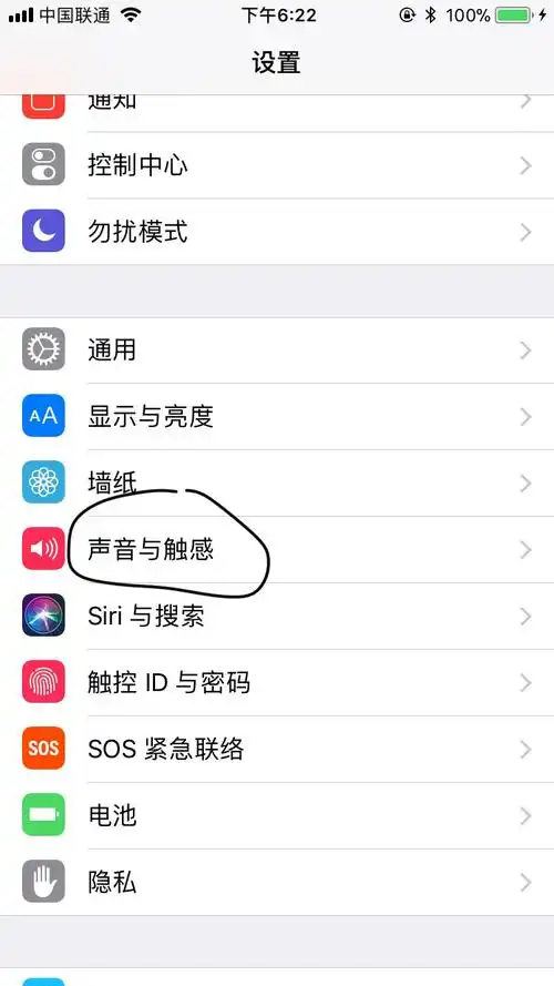 iPhone键盘已显示的旁白声音在哪打开