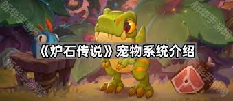 炉石传说205宠物系统玩法攻略