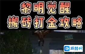 黎明觉醒怎么赚钱