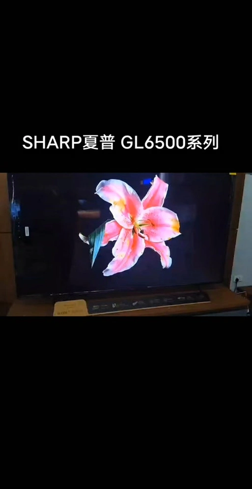 kodi如何看杜比视界