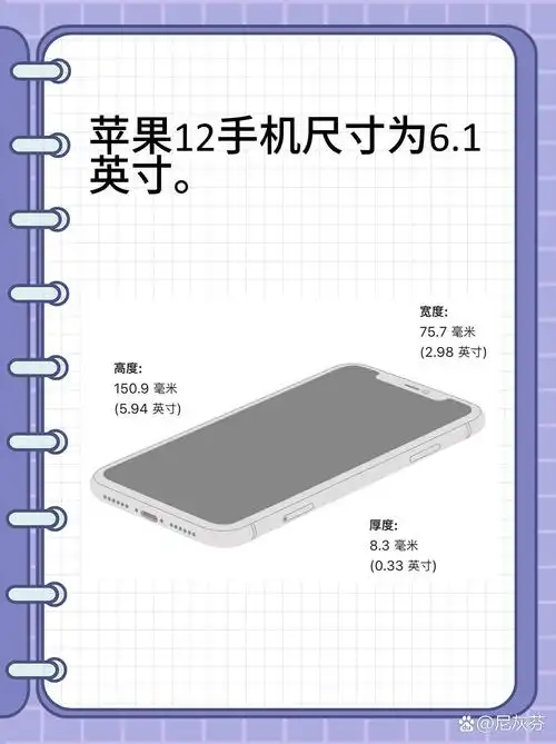 苹果12屏幕多大

