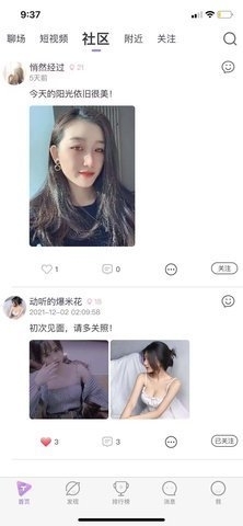 芷聊交友App自定义版1