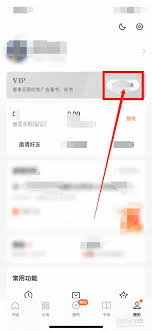 红桃免费小说app如何开通会员