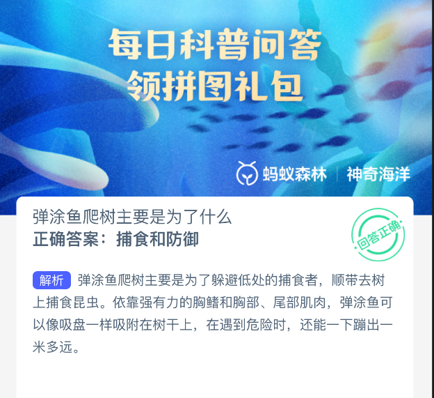 神奇海洋9.19今天答案是什么2025