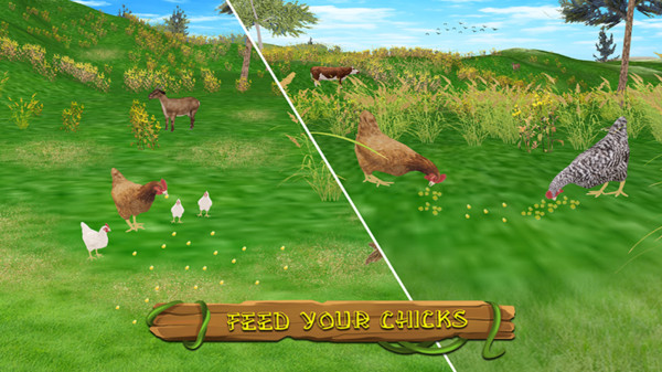 真实模拟鸡3D3